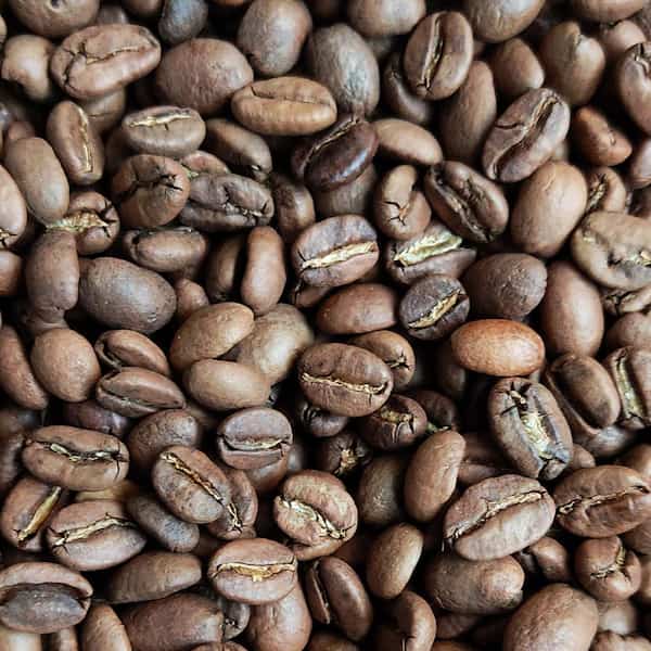 خرید قهوه گلد هندی + قیمت فروش استثنایی